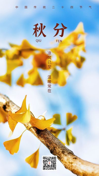 银杏叶秋分手机海报 模板ID：392
