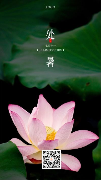 二十四节气绿色荷花处暑手机海报 模板ID:657