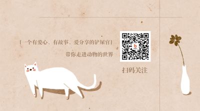 复古文艺黄色手绘猫咪引导关注公众号二维码 模板ID：2036