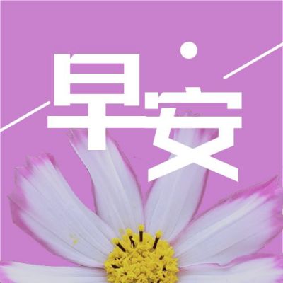 文艺小清新励志正能量早安美图格桑花白色小花公众号次图 模板ID:1910