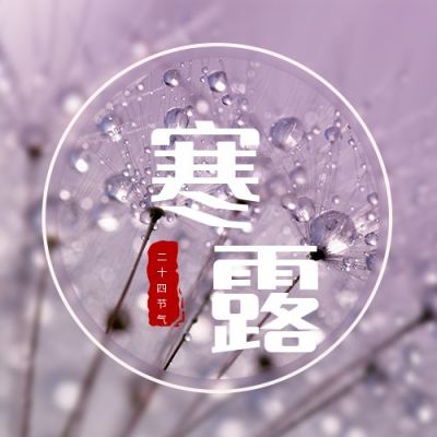 紫色二十四节气寒露公众号次图 模板ID:1734