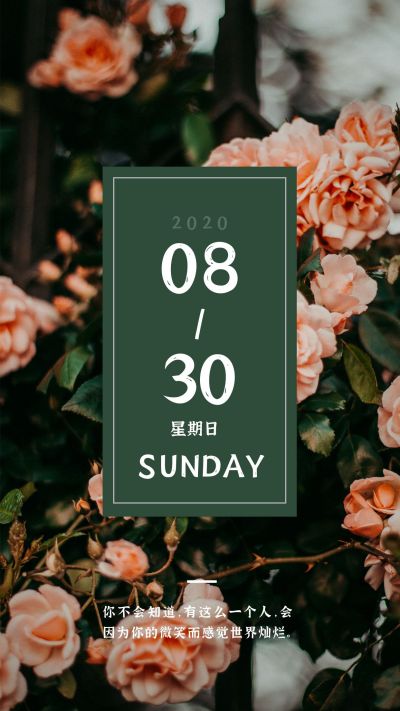 绿色小清新每日一签手机海报 模板ID：498