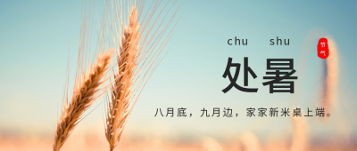 二十四节气水稻处暑公众号首图 模板ID：653
