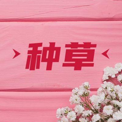 粉色种草电商直播公众号次图 模板ID：1432