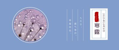 简约实景蓝色二十四节气寒露露珠露水白色公众号首图 模板ID：1728
