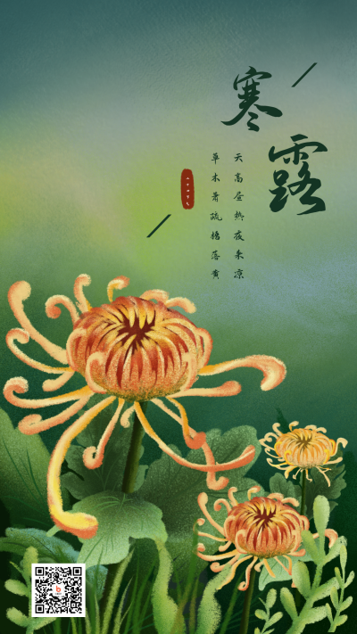 墨绿色背景手绘插画菊花二十四节气寒露重阳节手机海报 模板ID:1902
