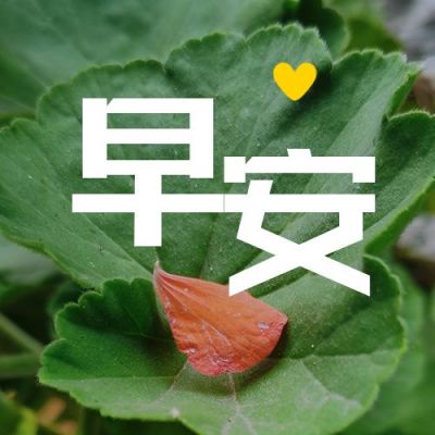 绿色励志正能量早安唯美落花爱心公众号次图 模板ID:1904