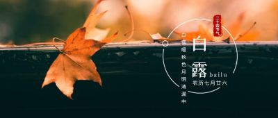 二十四节气白露枫叶实景简约清新公众号首图 模板ID:704