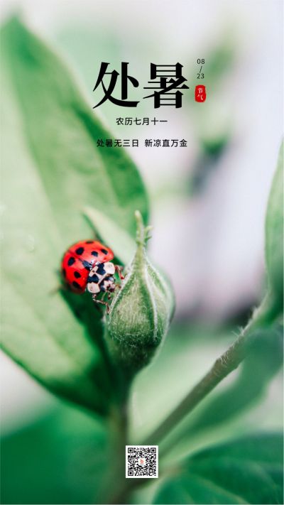 绿色小清新二十四节气处暑手机海报 模板ID：670