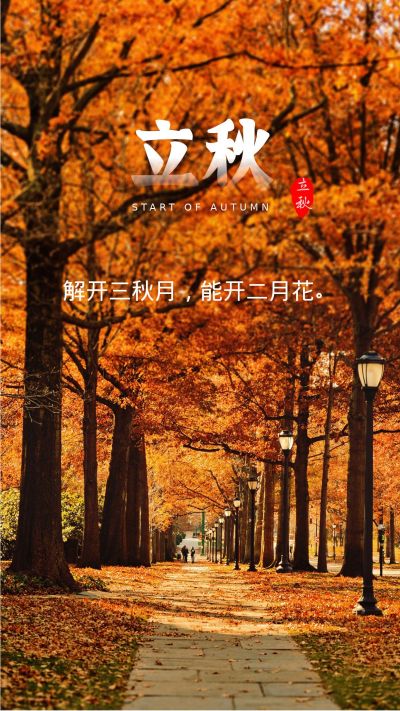 黄色枫叶二十四节气立秋手机海报 模板ID：422