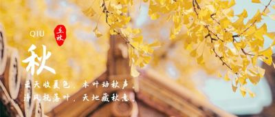 秋季落叶公众号首图 模板ID:499