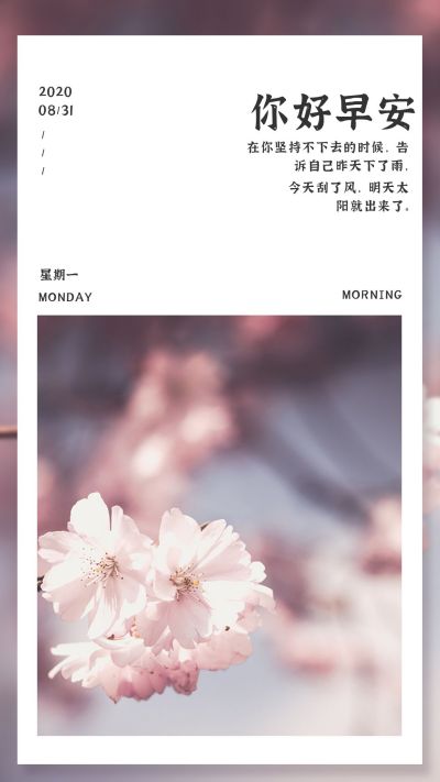 文艺清新粉色每日一签手机海报 模板ID：502