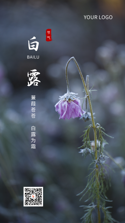 白露节气简约手机海报 模板ID：786