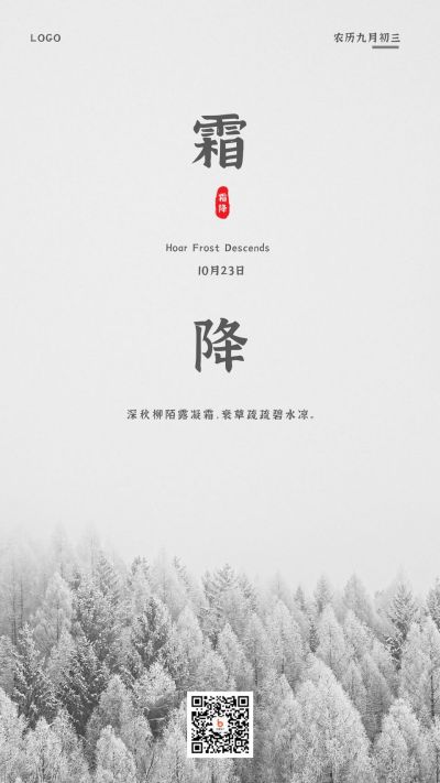 灰色二十四节气霜雪手机海报 模板ID:544