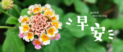 绿色励志正能量早安美图小花公众号首图 模板ID：1914
