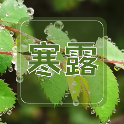 绿色小清新水珠叶子二十四节气寒露公众号次图 模板ID：1930