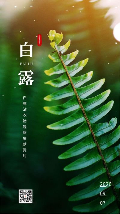 白露节气简约实景手机海报 模板ID：671