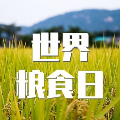 简约图文世界粮食日公众号次图 模板ID：1732