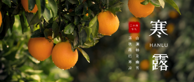 二十四节气寒露橙色橘子自然实景公众号首图 模板ID:1617