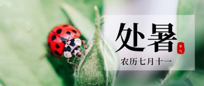 绿色小清新二十四节气处暑公众号首图 模板ID：668