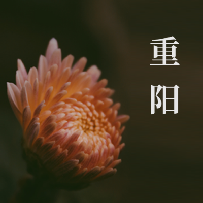 黑色背景传统节日重阳节菊花公众号次图 模板ID:2297