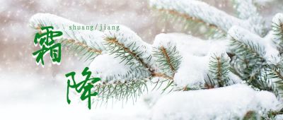 绿色小清新唯美雪景二十四节气霜降公众号首图 模板ID：2247