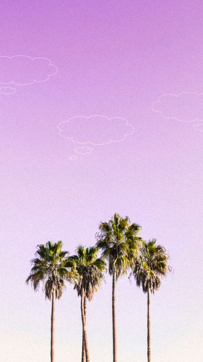 渐变紫色粉色浪漫小清新树手机壁纸 模板ID:2444