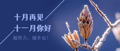秋冬霜雪实景照片十一月你好问候语正能量公众号首图 模板ID：2702