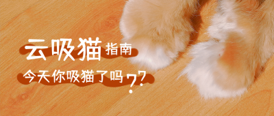 可爱猫咪爪子吸猫宠物店猫咖公众号首图 模板ID:1573