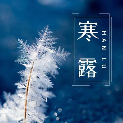 深蓝色小清新唯美雪花二十四节气寒露公众号次图 模板ID：2249