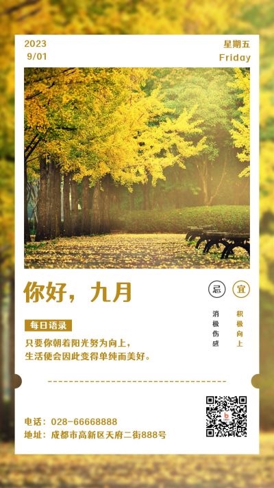 9月你好银杏叶实景海报 模板ID：2689