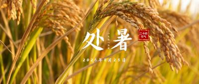 二十四节气处暑收获简约清新稻穗实景黄色公众号首图 模板ID:709