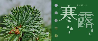 寒露节气松针露水公众号首图 模板ID:2063