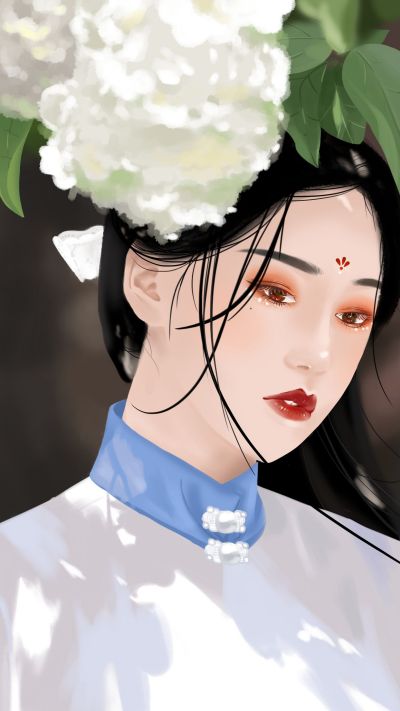 古典国风民国美人美妆服饰原创手绘手机壁纸 模板ID:2306