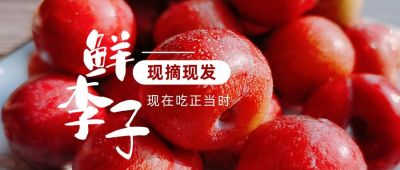 餐饮美食生鲜水果李子实景图片公众号首图 模板ID：2582