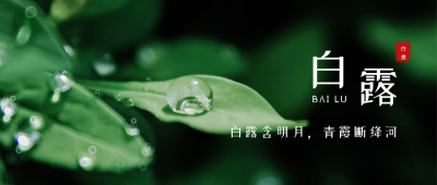 二十四节气白露公众号首图 模板ID:808