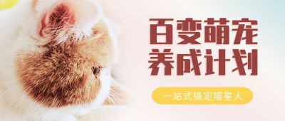 粉色可爱猫咪侧颜宠物猫咖公众号首图 模板ID:1697