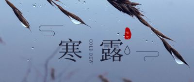 实景露珠草穗二十四节气寒露公众号首图 模板ID:1976