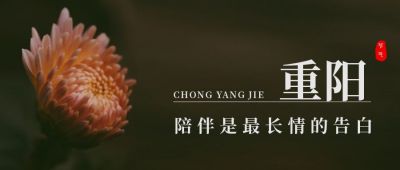 黑色背景传统节日重阳节菊花公众号首图 模板ID:2296