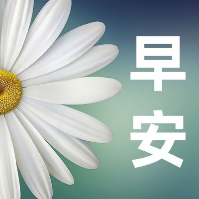 文艺简约小花通用早安问候公众号次图 模板ID：2253