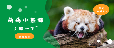 假期出游-熊猫基地旅游出行公众号首图 模板ID:1542