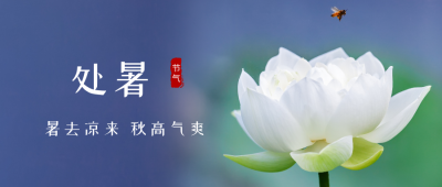 二十四节气处暑简约实景蓝色背景公众号首图 模板ID:524