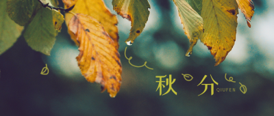 绿色二十四节气秋分公众号首图 模板ID：1591