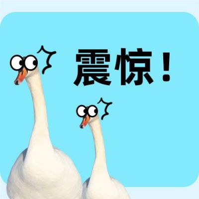 动物震惊表情包创意趣味公众号次图 模板ID:3469