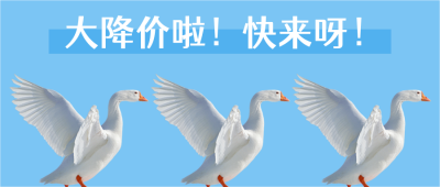 降价优惠大白鹅入场表情包趣味公众号首图 模板ID：3454