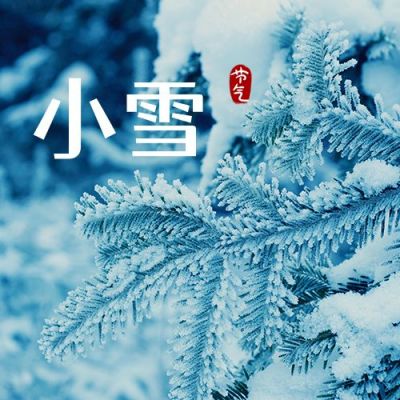 实景冬天松树二十四节气公众号次图 模板ID：3273