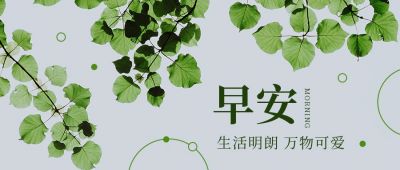 简约清新实景绿植早安问候日签公众号首图 模板ID:3293