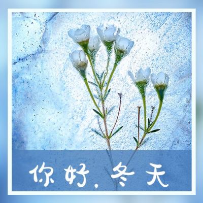 清新文艺冬天问候实景公众号次图 模板ID：2807