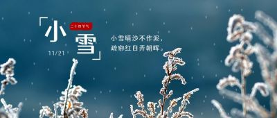 简约实景枯草冬天二十四节气小雪公众号首图 模板ID：3276