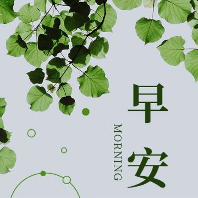早安问候简约清新实景绿植公众号次图 模板ID:3292
